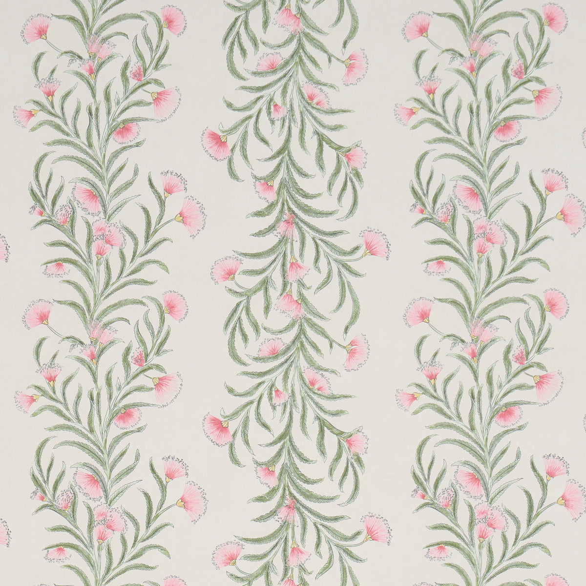 Tasmanian Mimosa - Petal - Schumacher 5015364 Wallpaper - Schumacher Wallpaper