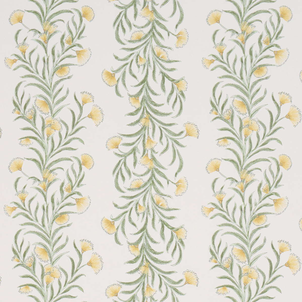 Tasmanian Mimosa - Marigold - Schumacher 5015365 Wallpaper - Schumacher Wallpaper