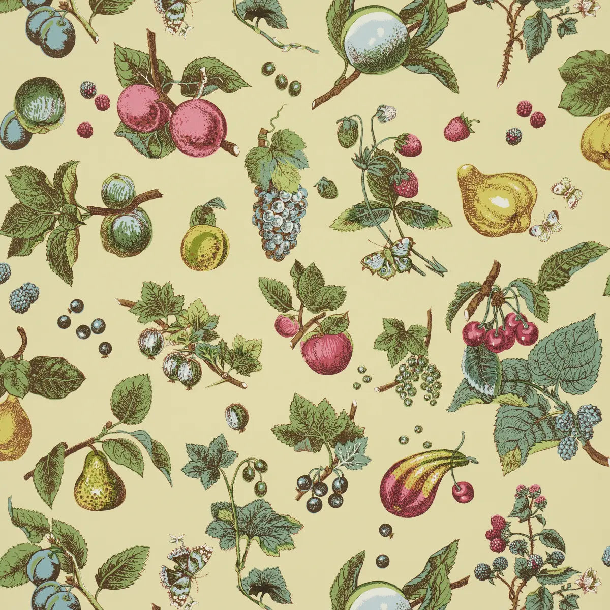 Berry Grove - Butter - Schumacher 5015650 Wallcovering