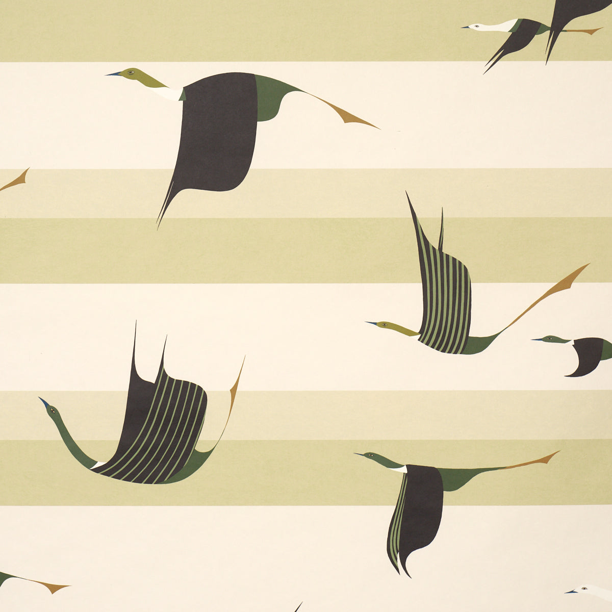 FLYING-WEST-GREEN-SCHUMACHER-5015853
