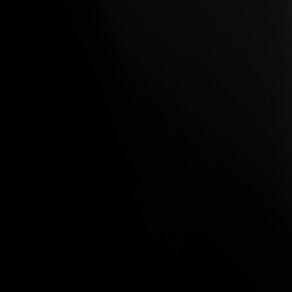 ACE-FAUX-LACQUER-PERFORMANCE-VINYL-BLACK-SCHUMACHER-5015945