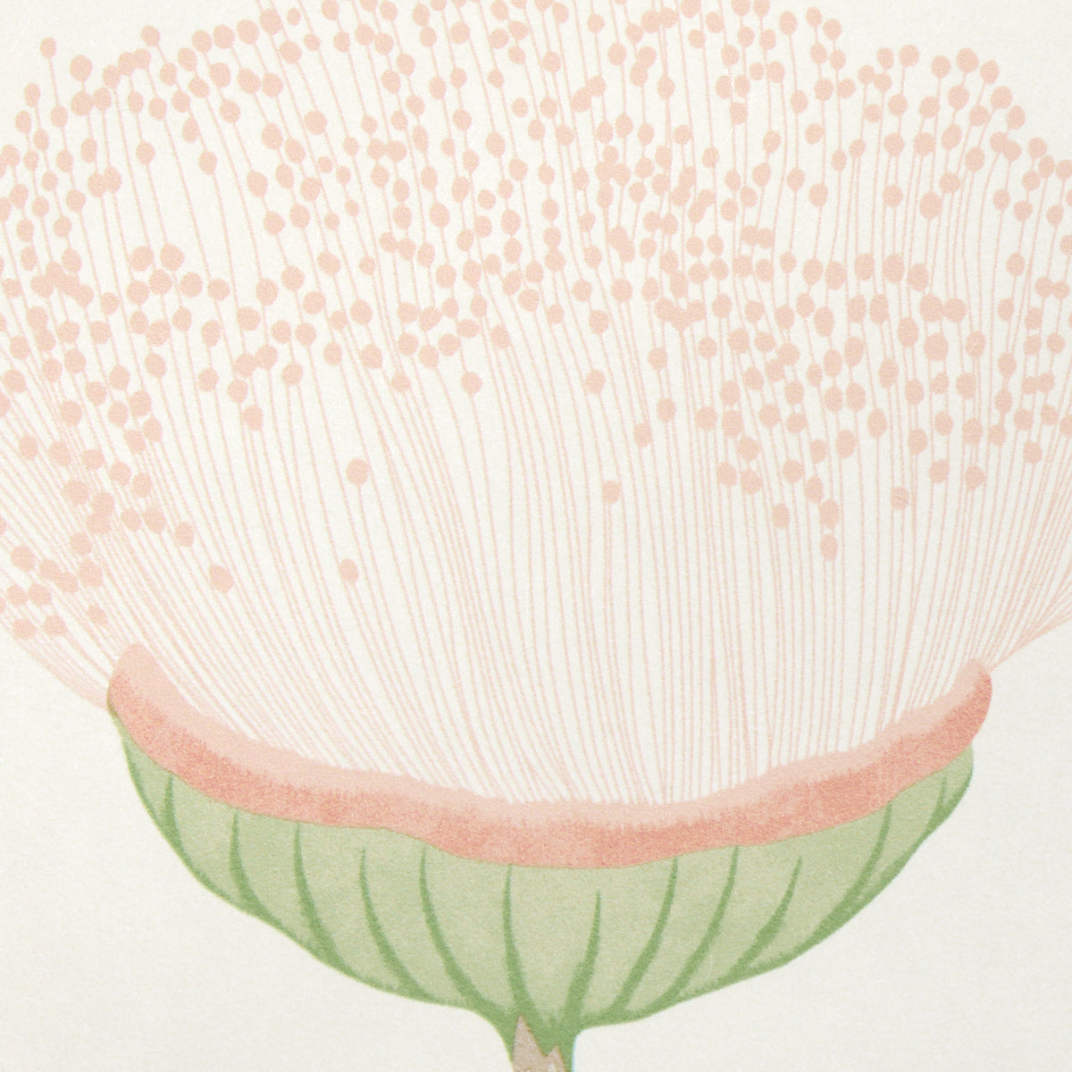 Celinda Blush wallpaper by Schumacher, 5016360 — view 3 - Schumacher Wallpaper