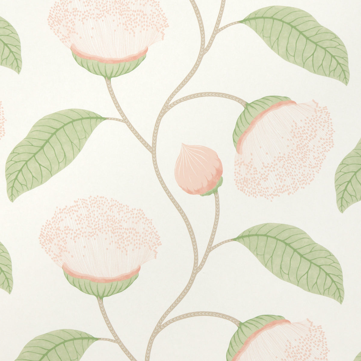 Celinda Blush wallpaper by Schumacher, 5016360 - Schumacher Wallpaper