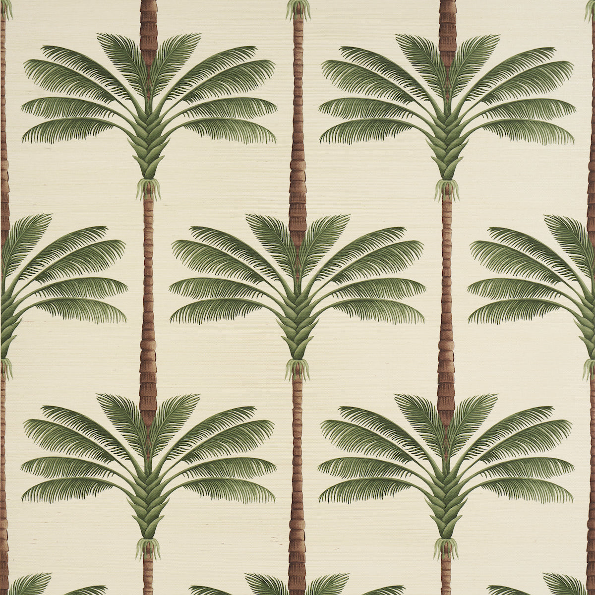 A-PALM-IS-A-PALM-SISAL-DAYLIGHT-EVERGREEN-SCHUMACHER-5016961