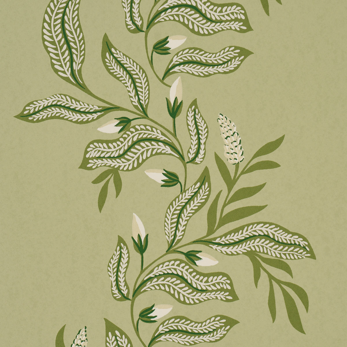 VAGARY-VINES-HONEYDEW-SCHUMACHER-5016970 - Schumacher Wallpaper