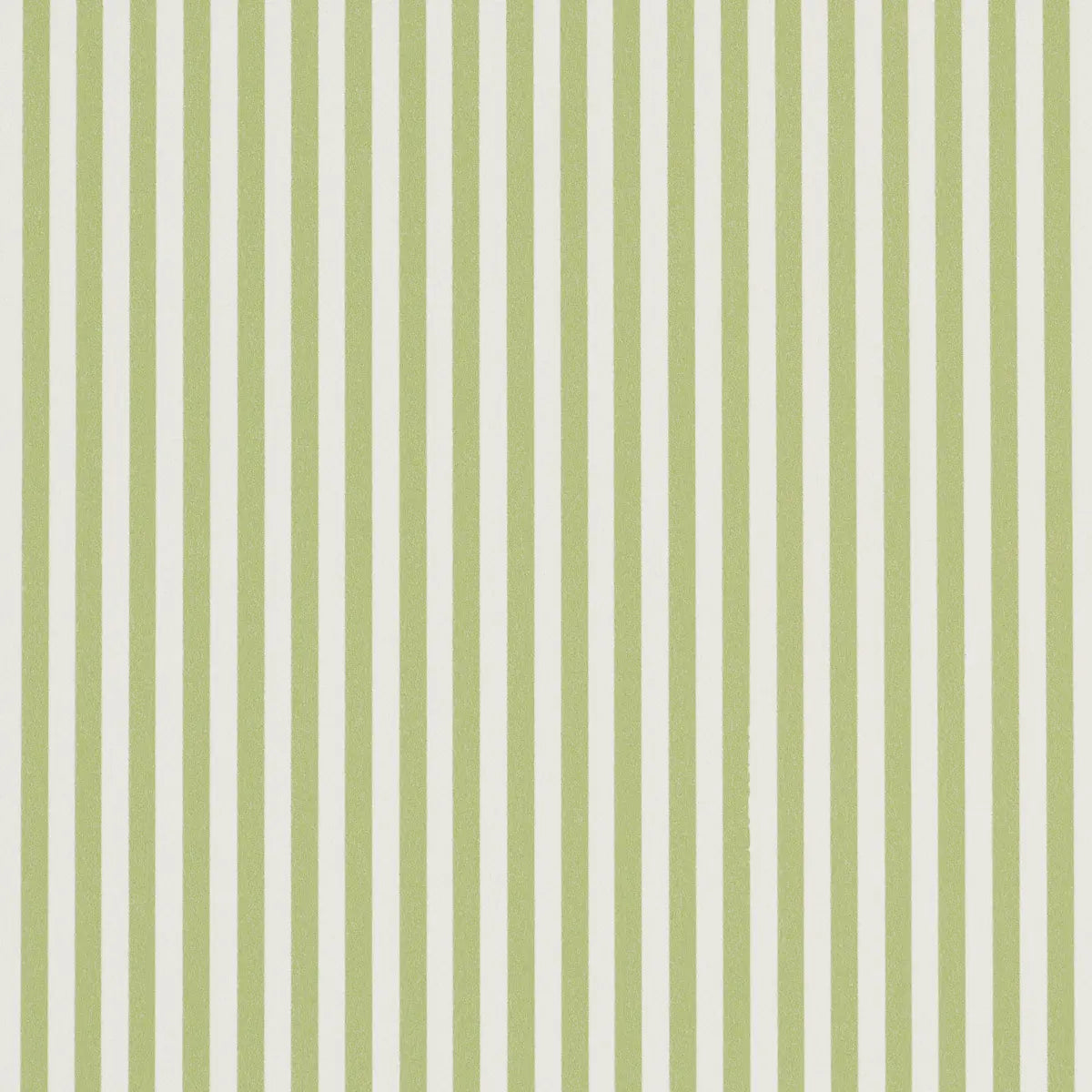 Emma Stripe Narrow - Leaf - Schumacher 5017193 Wallcovering - Schumacher Wallpaper