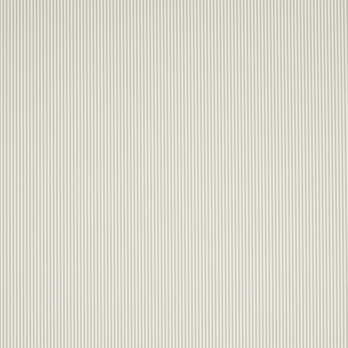 EMMA-STRIPE-NARROW-STONE-SCHUMACHER-5017198