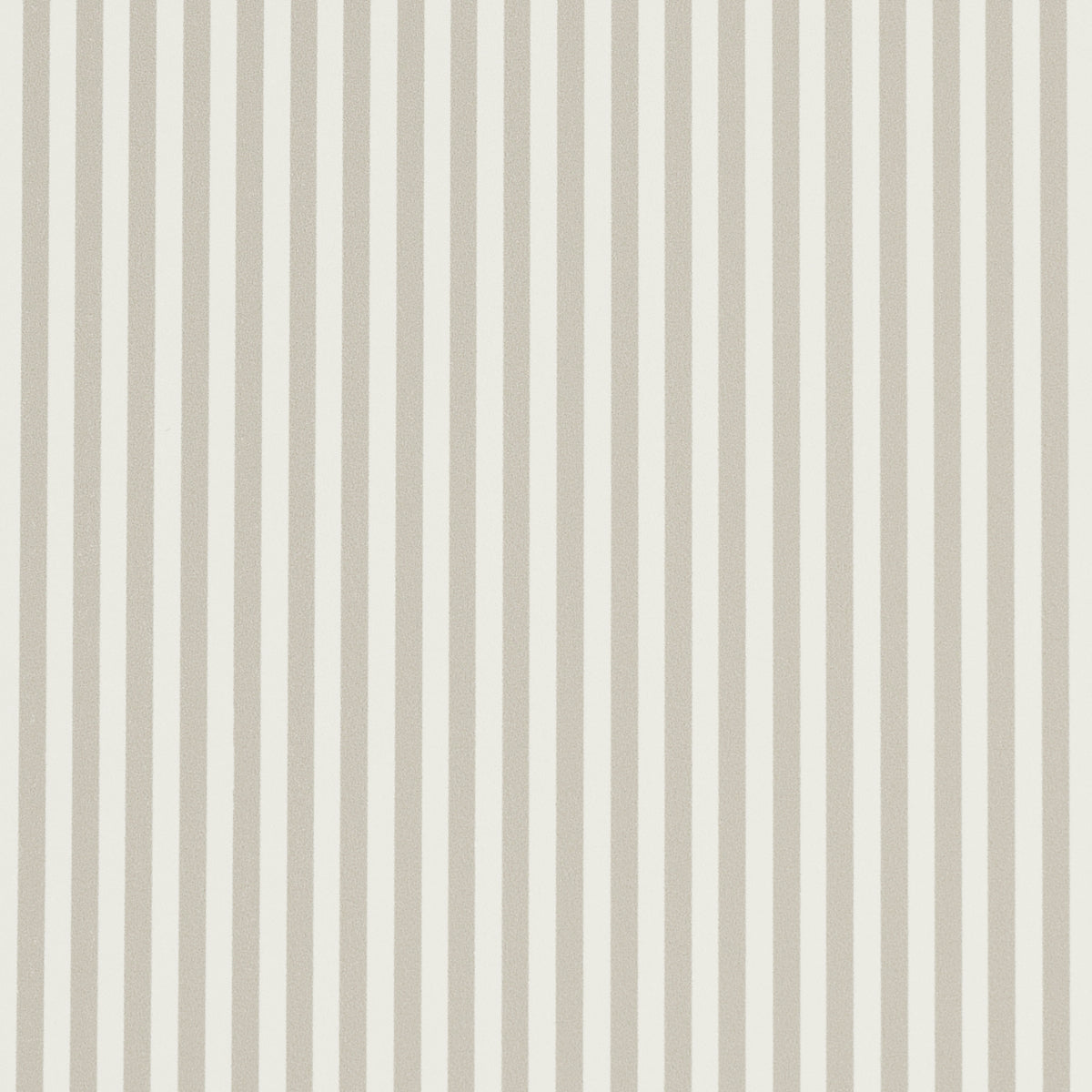 EMMA-STRIPE-NARROW-STONE-SCHUMACHER-5017198