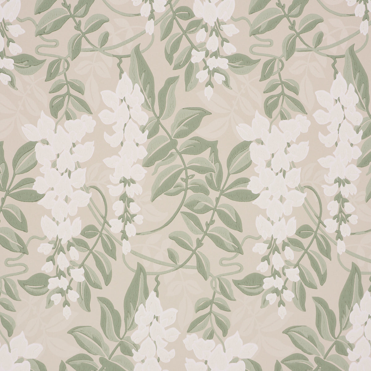 LUCIA-WISTERIA-SAGE-SCHUMACHER-5017530
