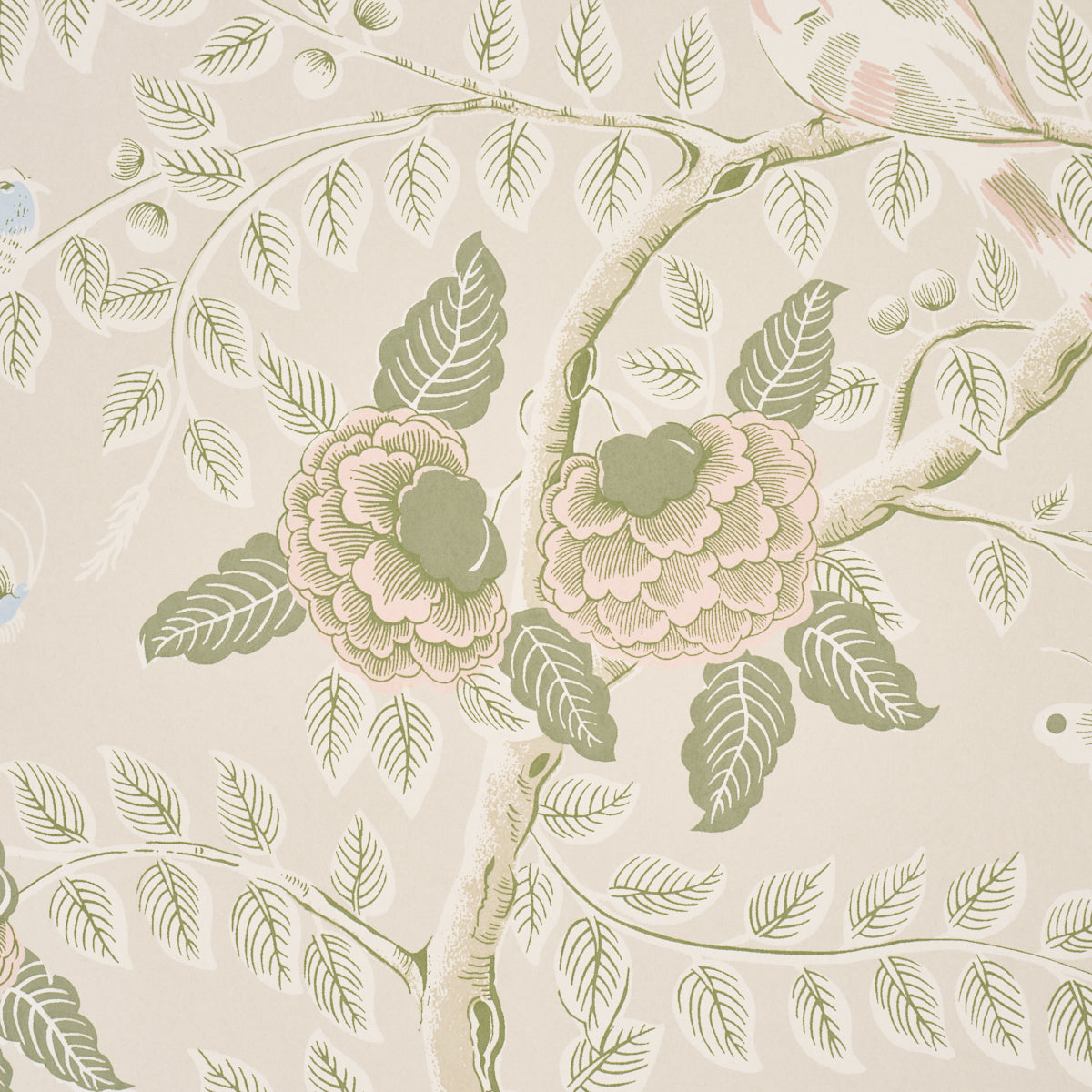 TOLE-BIRD-PETAL-SCHUMACHER-5017541 - Schumacher Wallpaper
