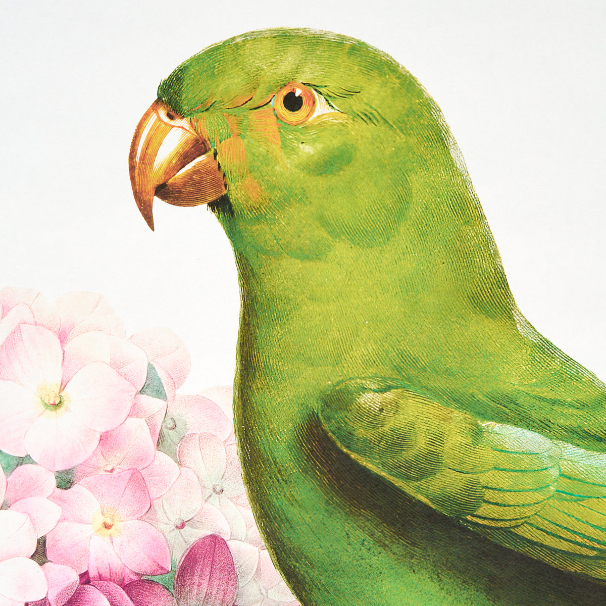 FLORES-PARADISI-4-PANEL-SET-ROSE-PEONY-SCHUMACHER-5017560