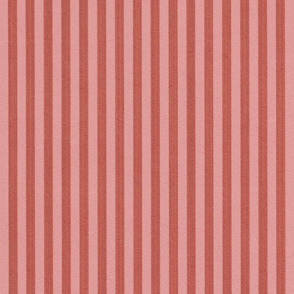 EDWIN-STRIPE-NARROW-SUN-KISS-SCHUMACHER-5017632