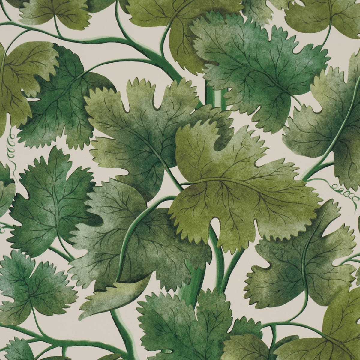 EDINBURGH-VINE-MOSS-SCHUMACHER-5017730 - Schumacher Wallpaper