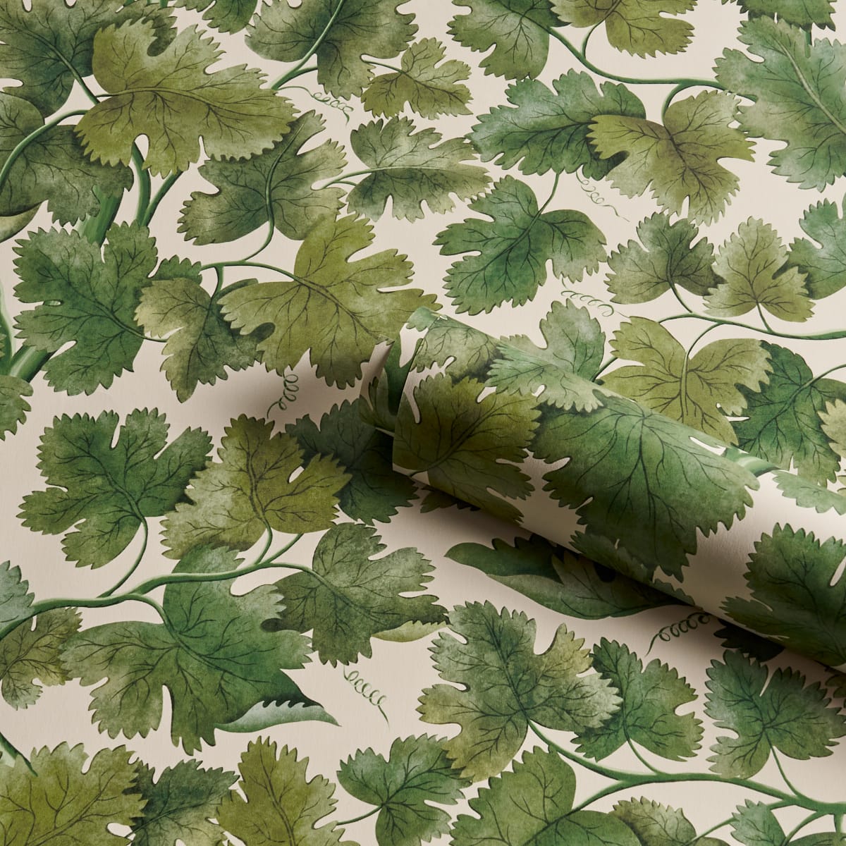 EDINBURGH-VINE-MOSS-SCHUMACHER-5017730 - Schumacher Wallpaper