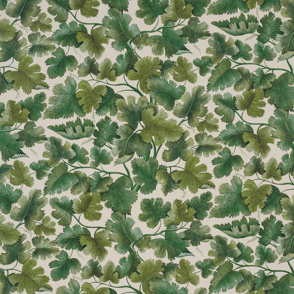EDINBURGH-VINE-MOSS-SCHUMACHER-5017730 - Schumacher Wallpaper