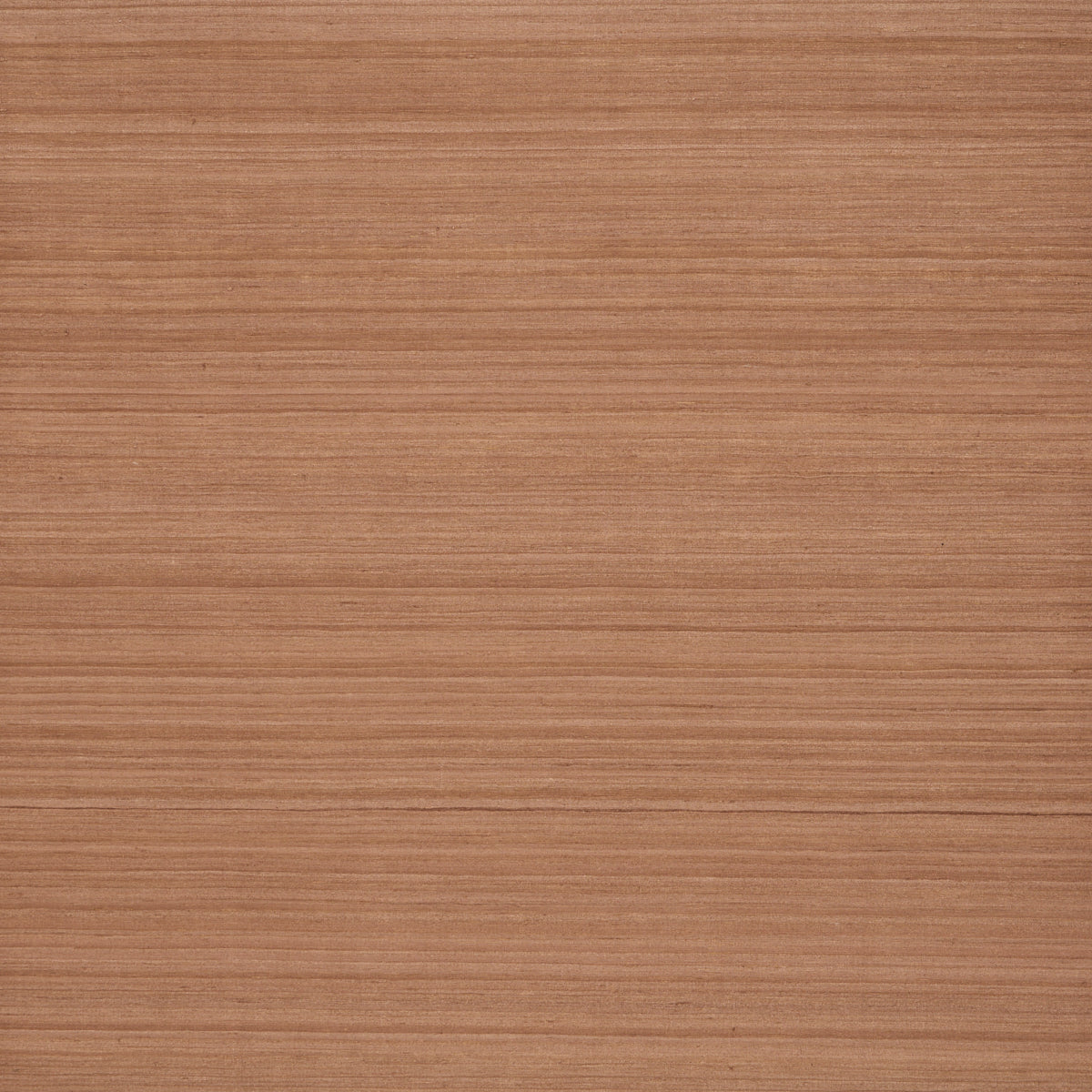 Shaded Silk - Ginger - Schumacher 5017781 Wallpaper
