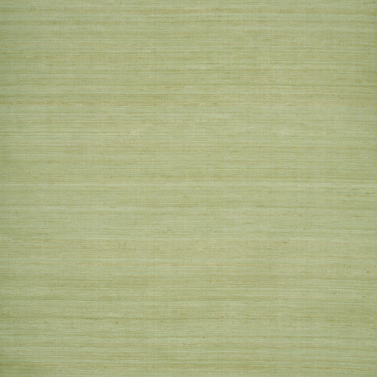 Shaded Silk - Celery - Schumacher 5017782 Wallpaper - Schumacher Wallpaper