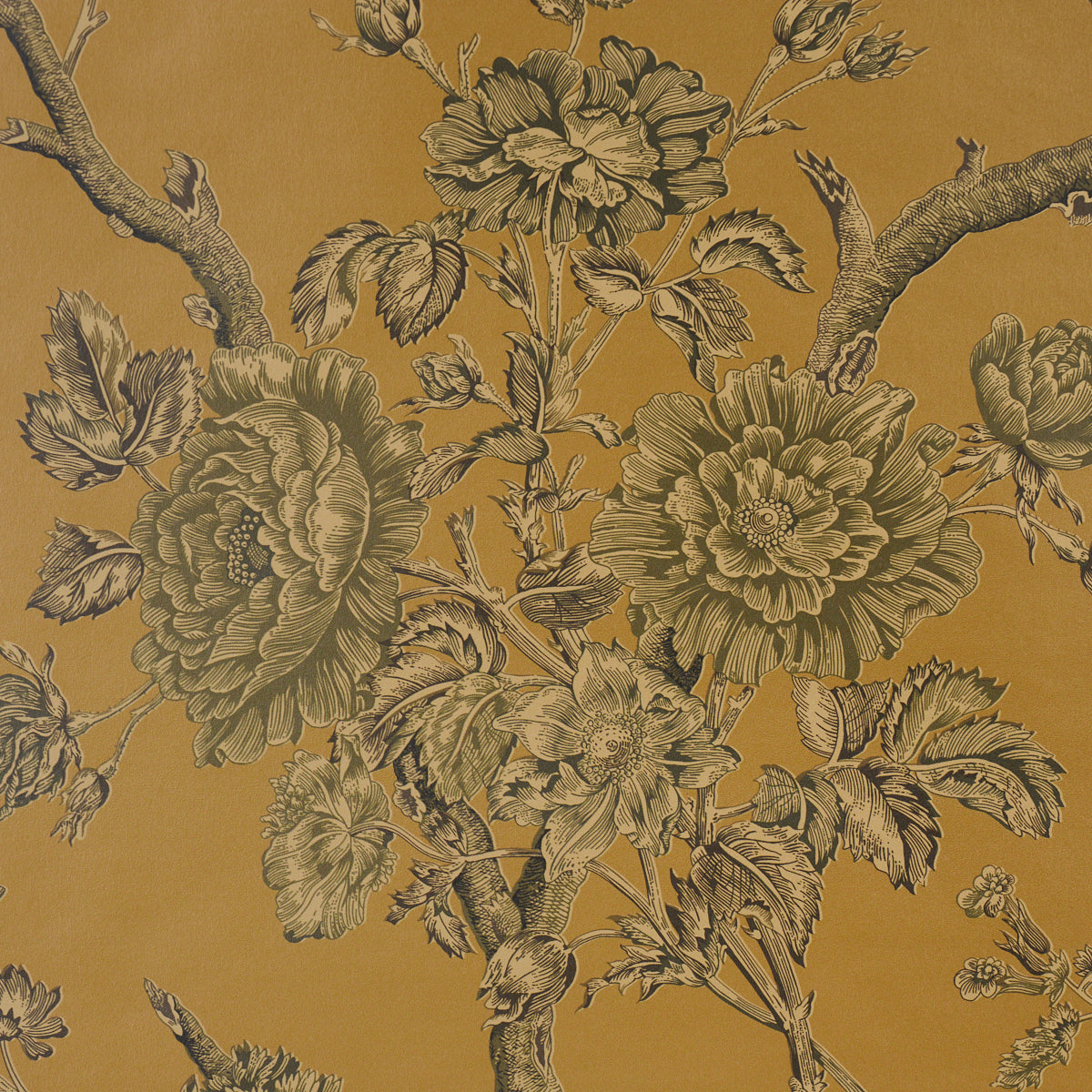 INVERNESS-GARDEN-DOCUMENT-SCHUMACHER-5017970