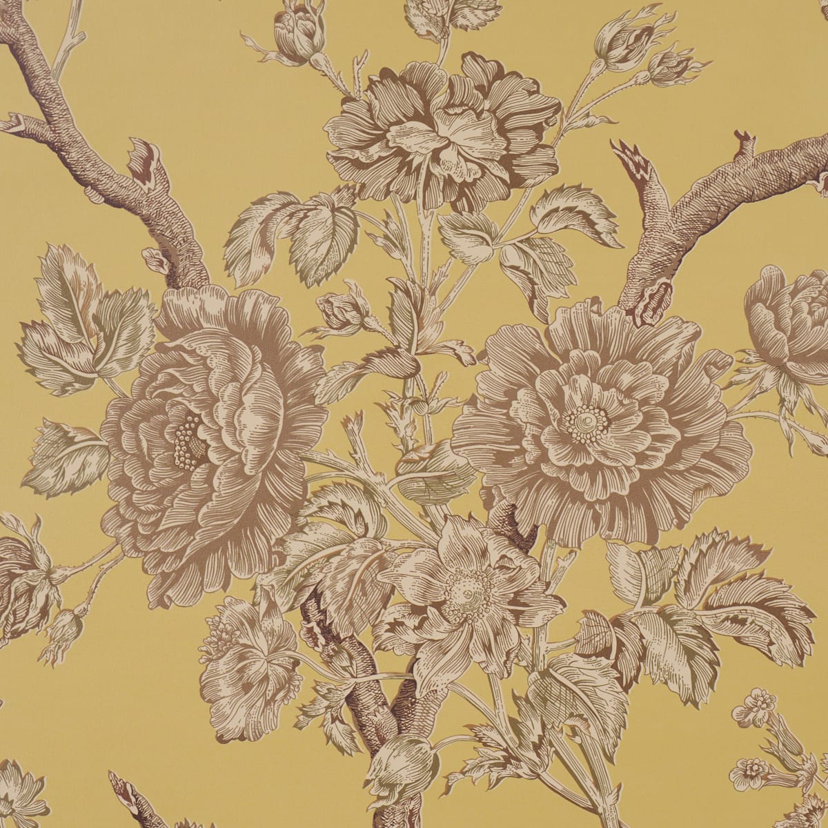 INVERNESS-GARDEN-BUTTERCUP-SCHUMACHER-5017971 - Schumacher Wallpaper