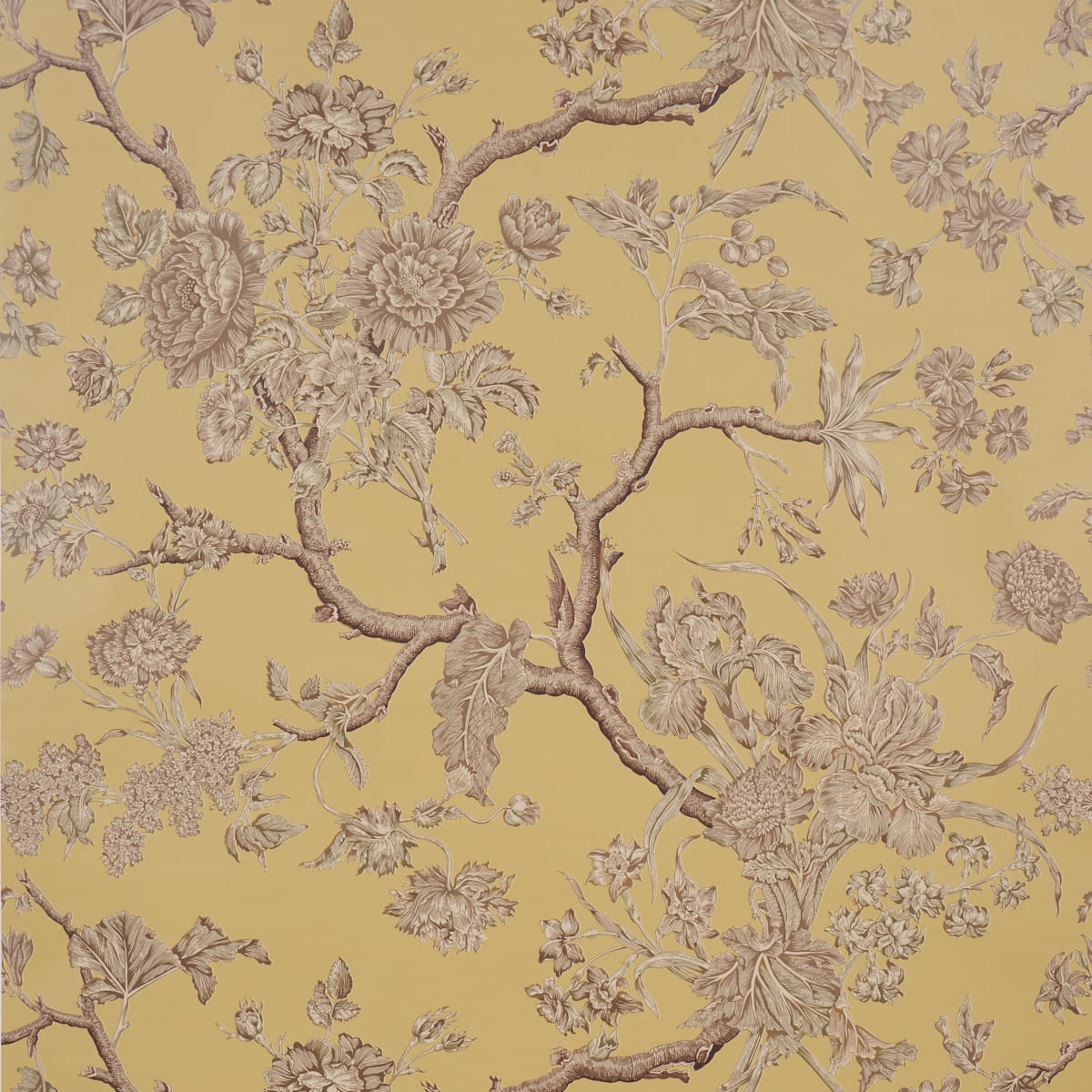 INVERNESS-GARDEN-BUTTERCUP-SCHUMACHER-5017971 - Schumacher Wallpaper