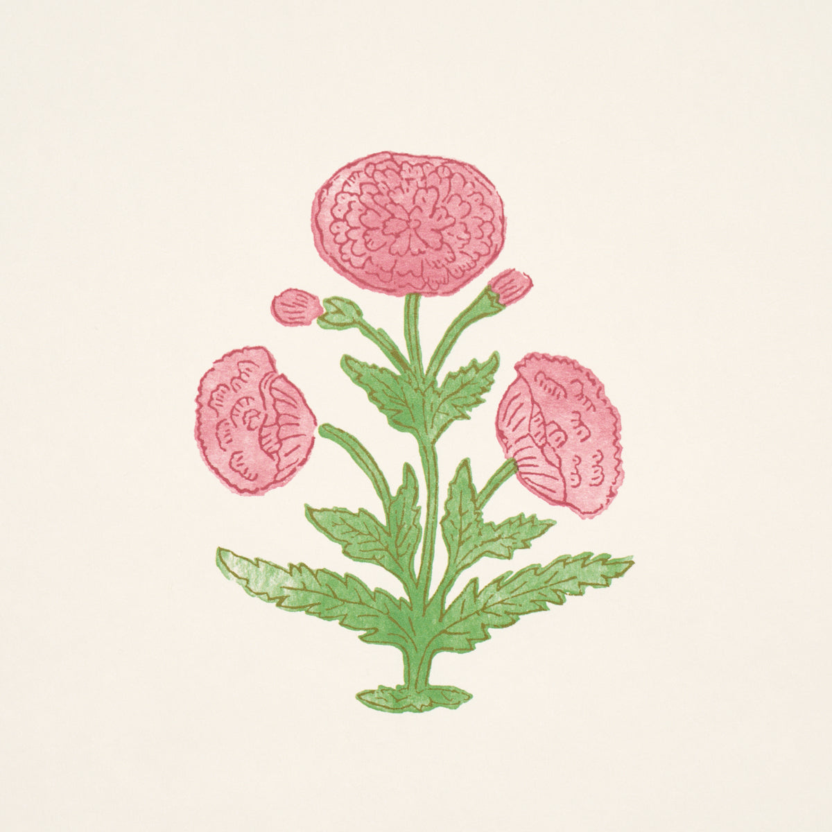 POPPY-PRINT-ROSE-GRASS-SCHUMACHER-5017980 - Schumacher Wallpaper