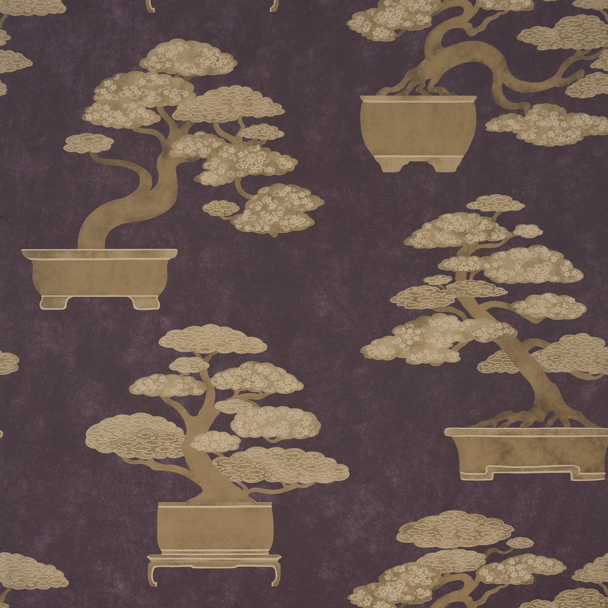 BONSAI-TREE-AUBERGINE-SCHUMACHER-5018001