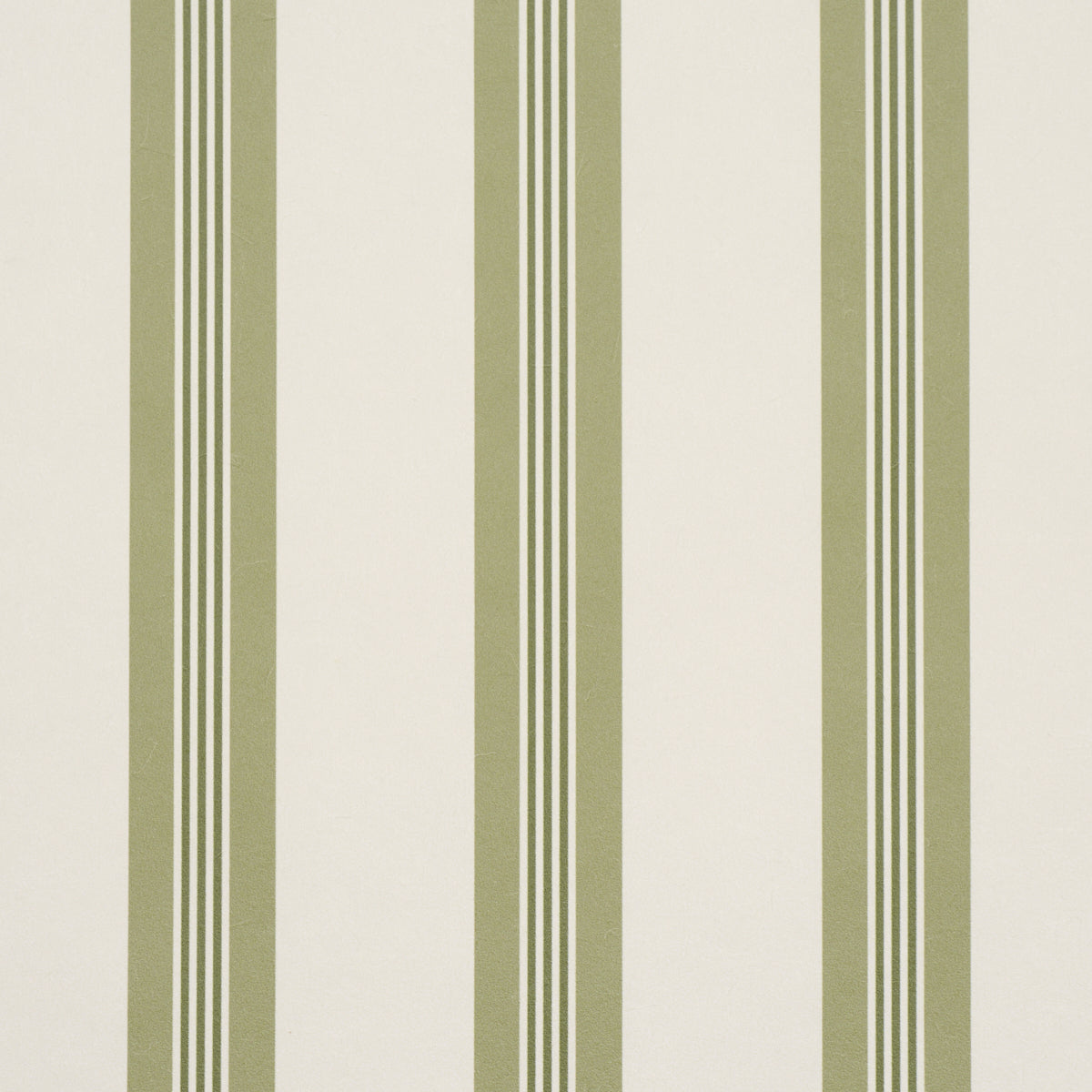 CHATHAM-STRIPE-LEAF-SCHUMACHER-5018172 - Schumacher Wallpaper