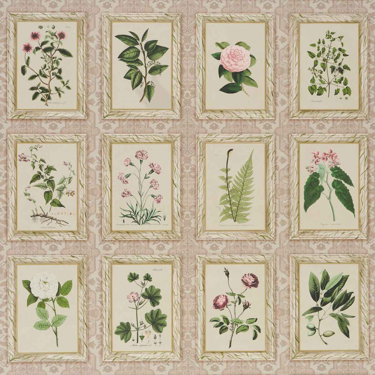 Garden's Trust - Blushed Oyster - Schumacher 5018310 - Schumacher Wallpaper