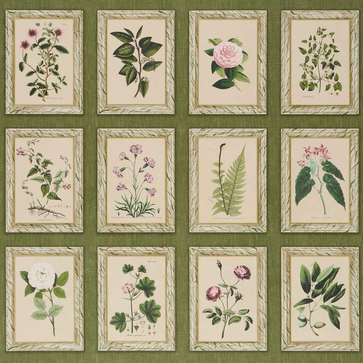 Garden's Trust - English Green - Schumacher 5018311