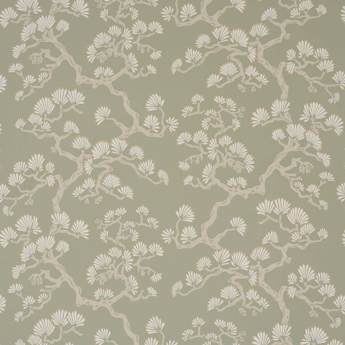 HINATA-SAGE-SCHUMACHER-5018330