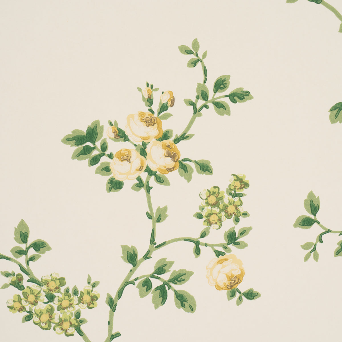 Schumacher A Rose Is A Rose Is A Rose wallpaper in Citron, 5018652 — view 3 - Schumacher Wallpaper
