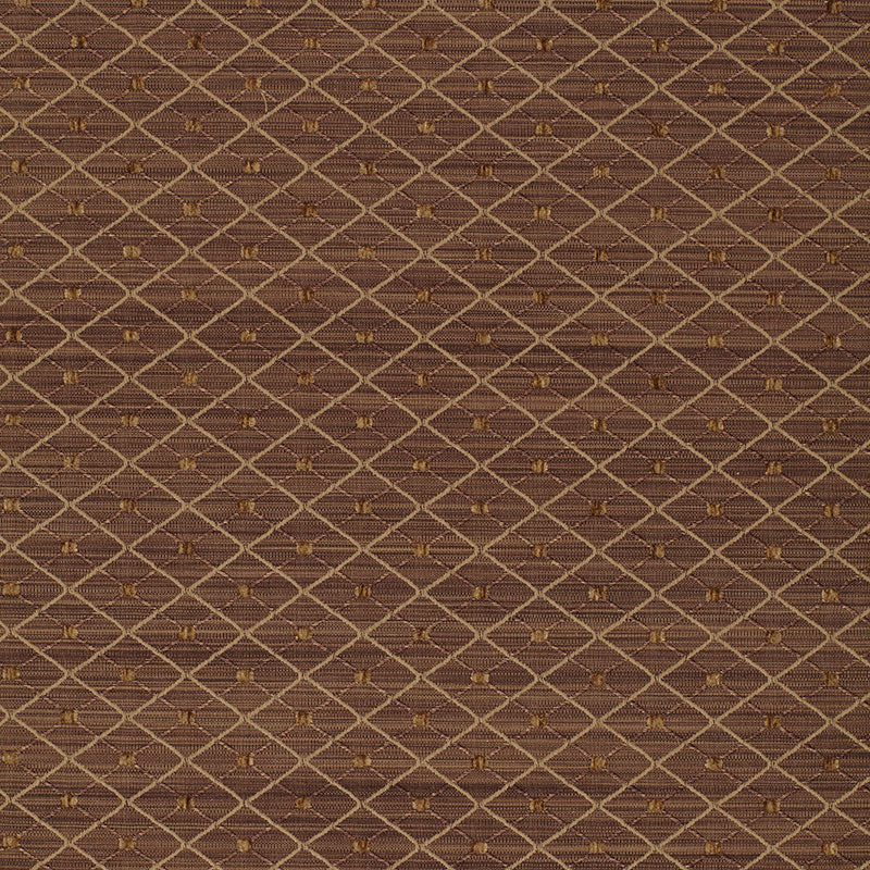 LASALLE-MOCHA-SCHUMACHER-50405