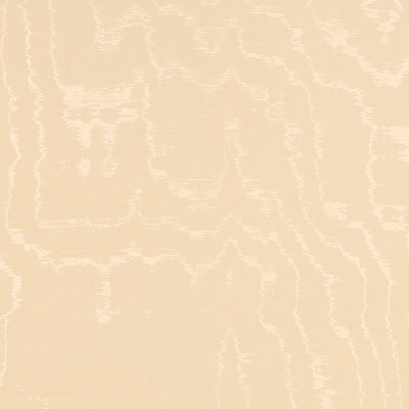ARIA-MOIR-VANILLA-SCHUMACHER-51914