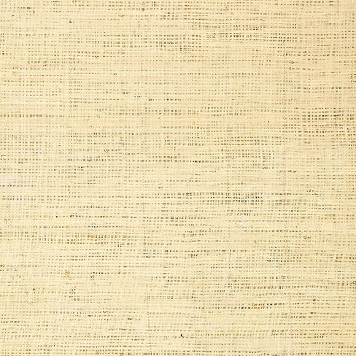BELLEZZA-GROUND-WHITEWASH-SCHUMACHER-528945