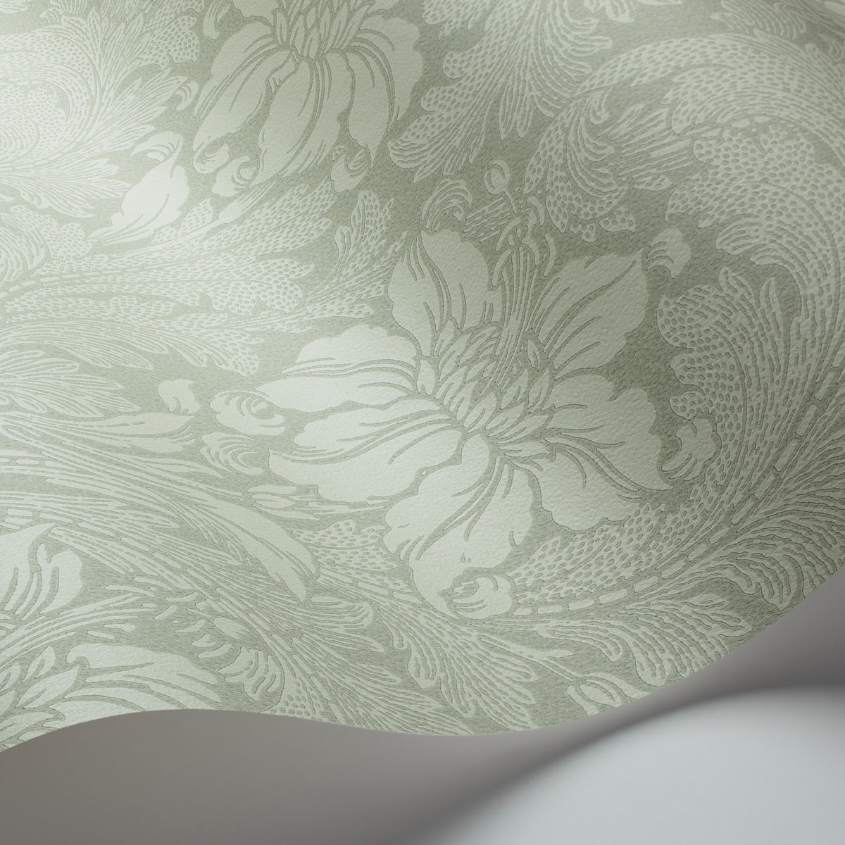 ACANTHUS-GARDEN-SAGE-SCHUMACHER-5350