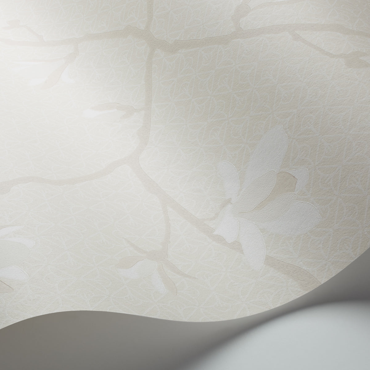 MAGNOLIA-BONE-SCHUMACHER-5452