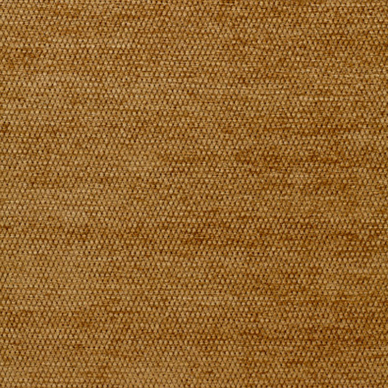 LIA-COIN-SCHUMACHER-54712