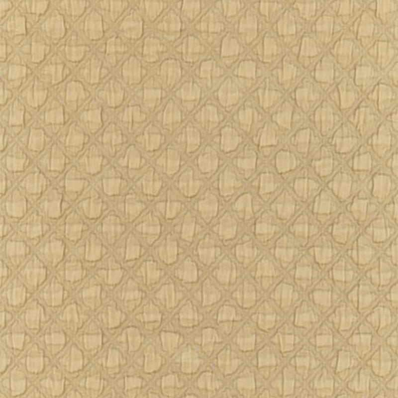 LUCCA-MATELASS-ANTELOPE-SCHUMACHER-55581