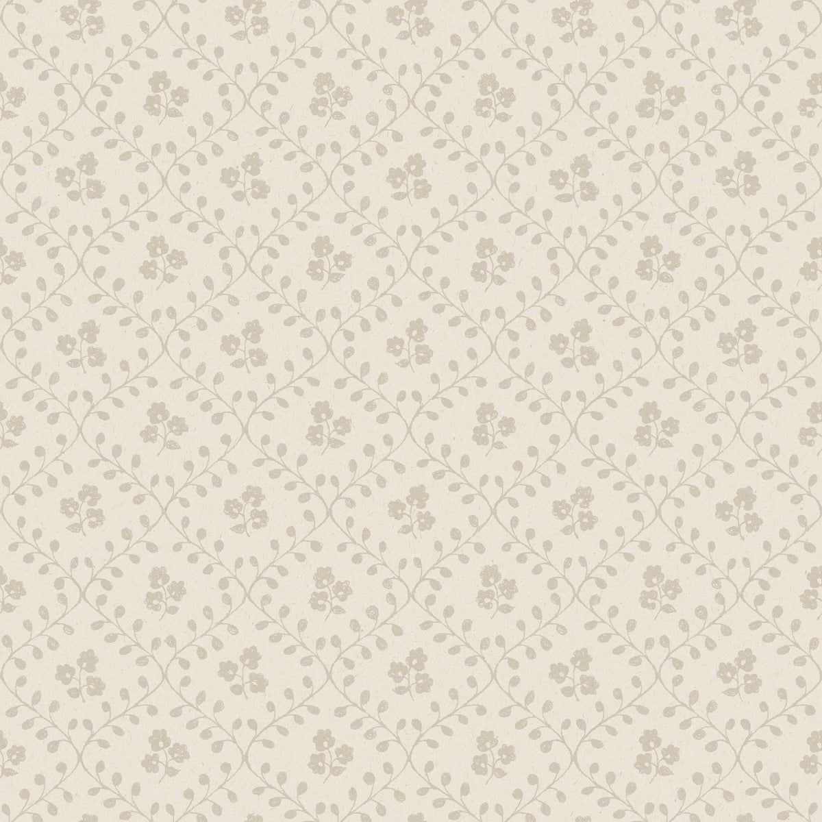 IDUN-PARCHMENT-SCHUMACHER-5824