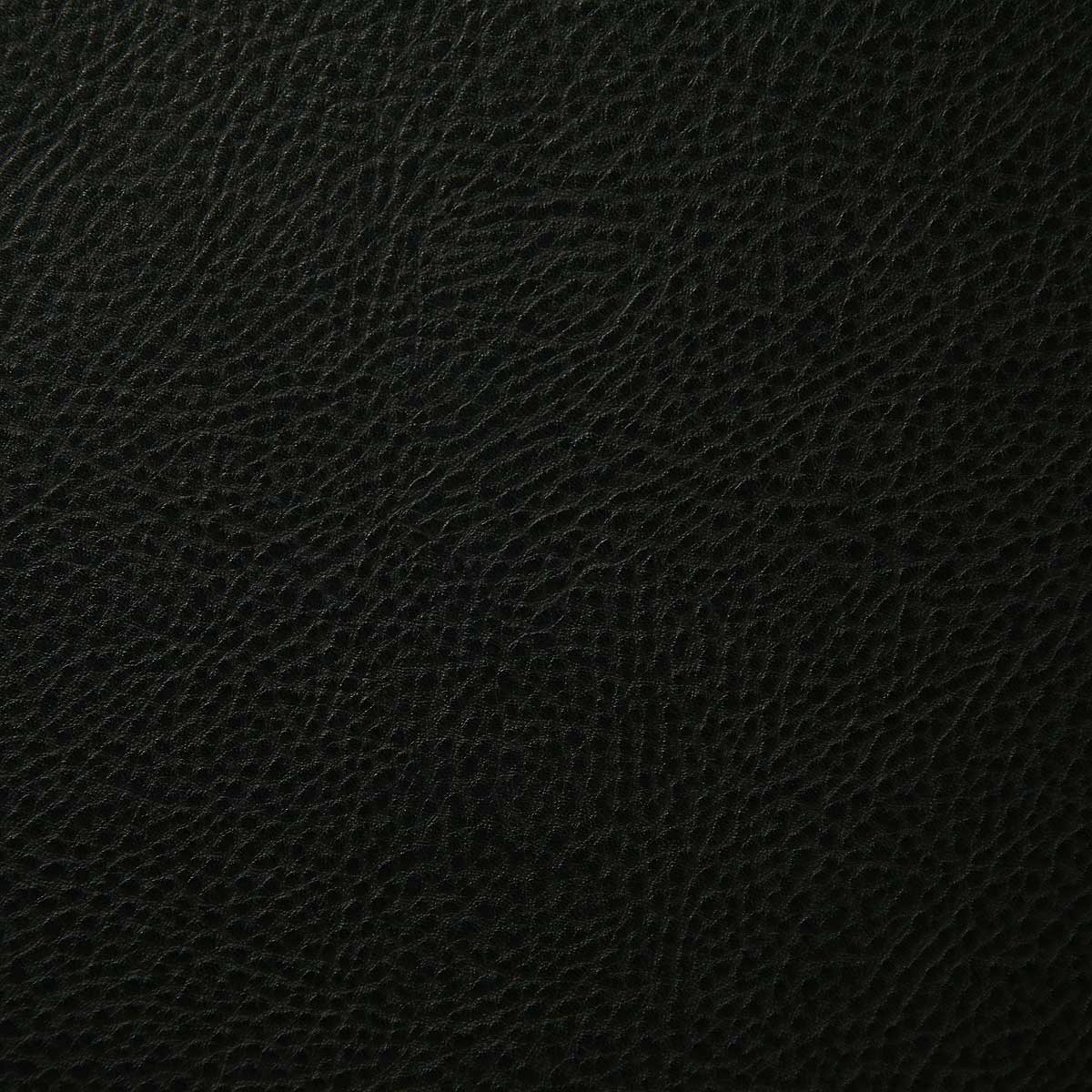 6139-buckaroo-black-pindler