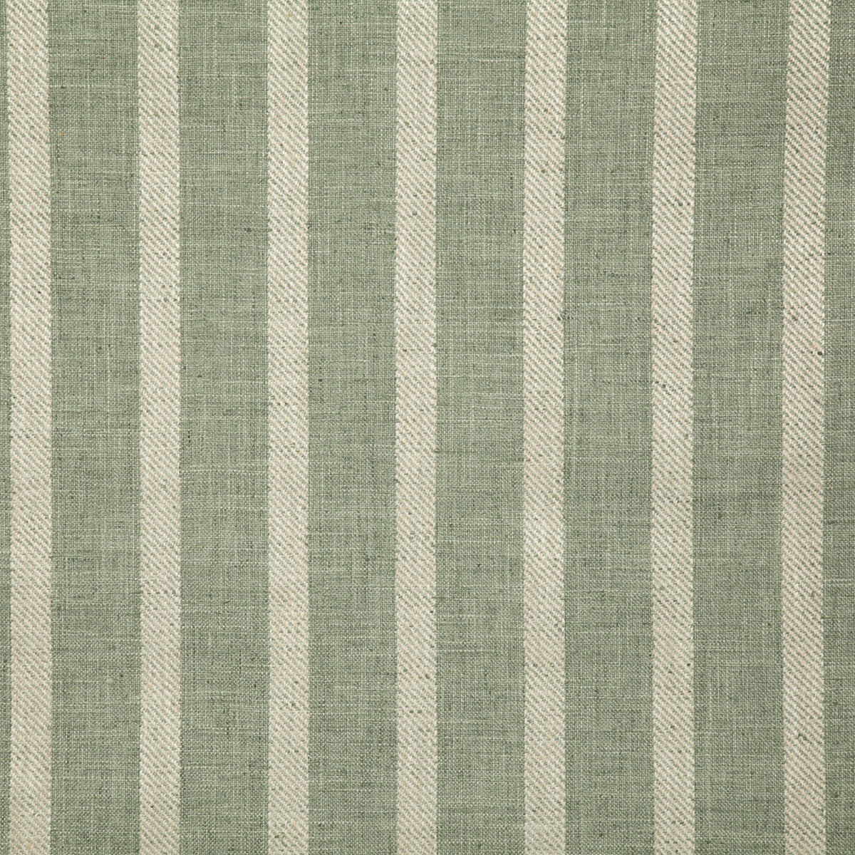 6181-wynn-aloe-pindler
