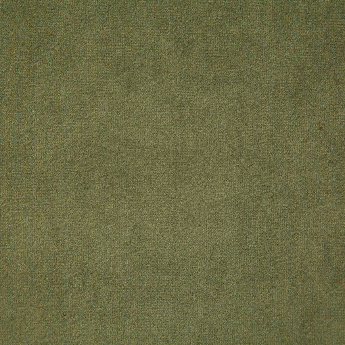 6334-voltaire-fern-pindler - Pindler Tela