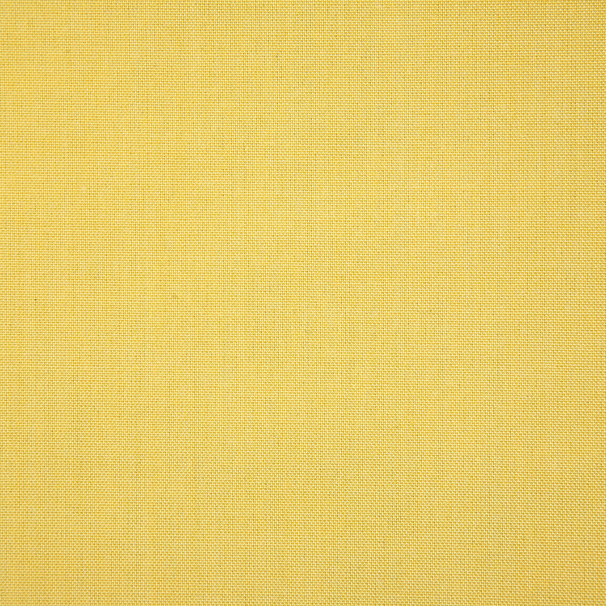 6484-balboa-lemon-pindler