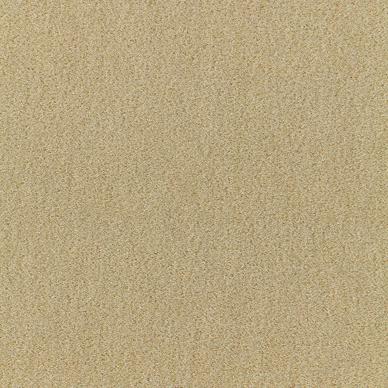 SAN-CARLO-MOHAIR-VELVET-PUTTY-SCHUMACHER-64859