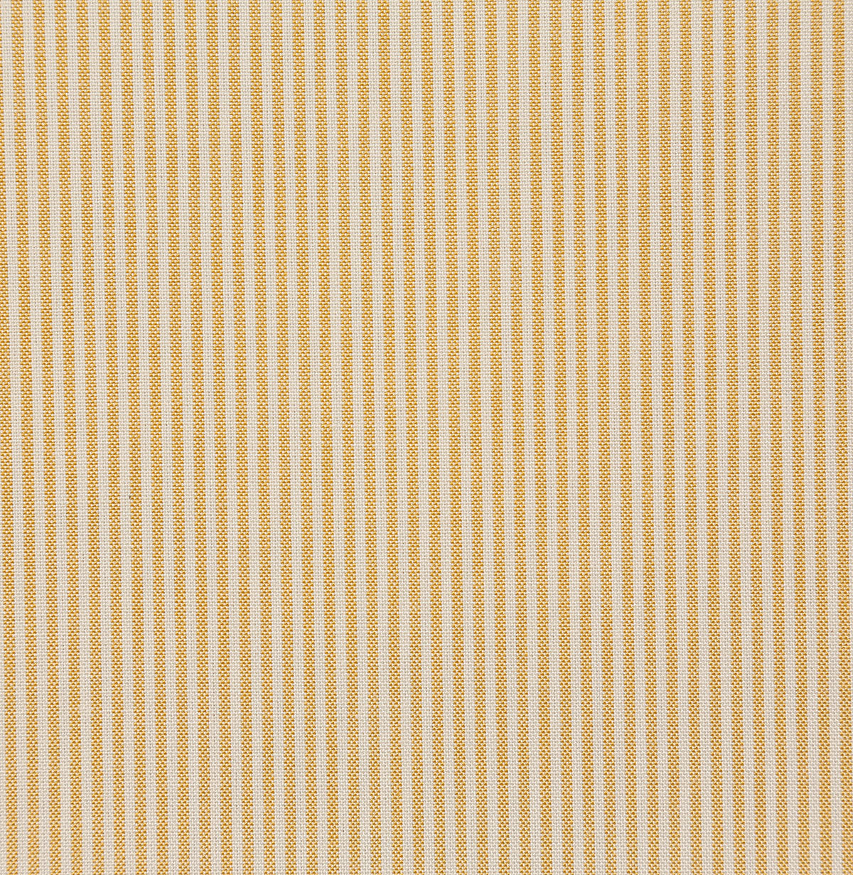 6485-huntington-sunshine-pindler