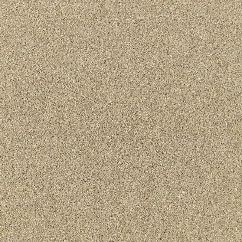 SAN-CARLO-MOHAIR-VELVET-PEBBLE-SCHUMACHER-64871