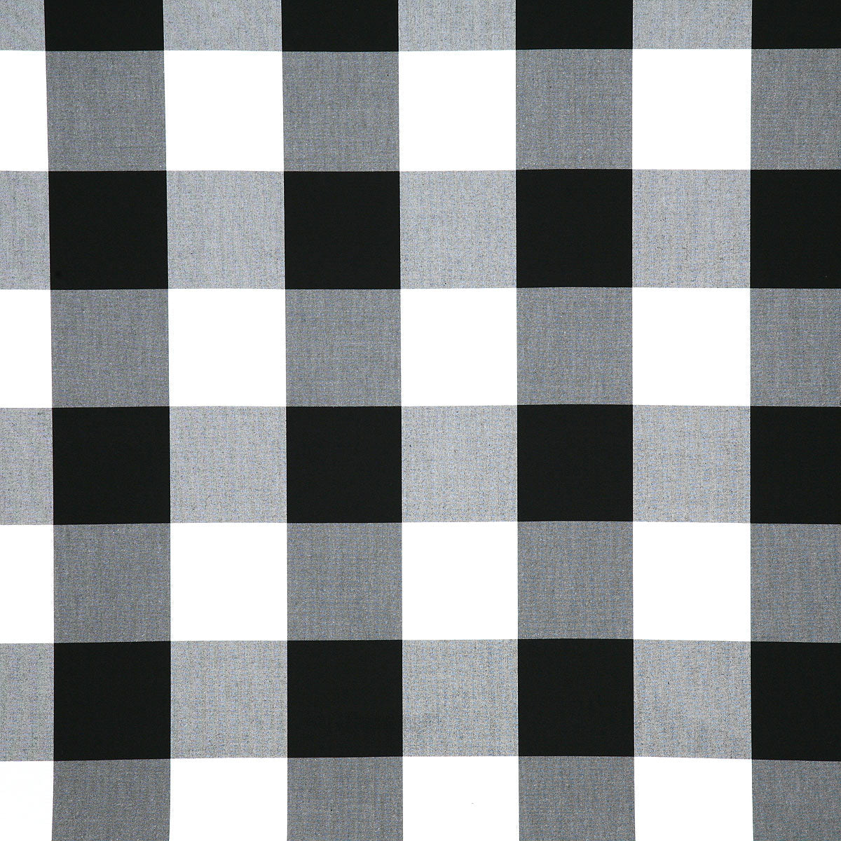 6487-morro-domino-pindler