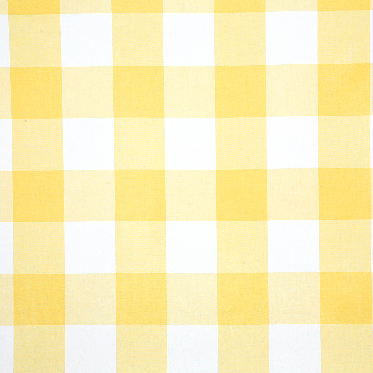 6487-morro-lemon-pindler