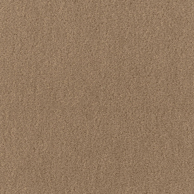 SAN-CARLO-MOHAIR-VELVET-SPARROW-SCHUMACHER-64885