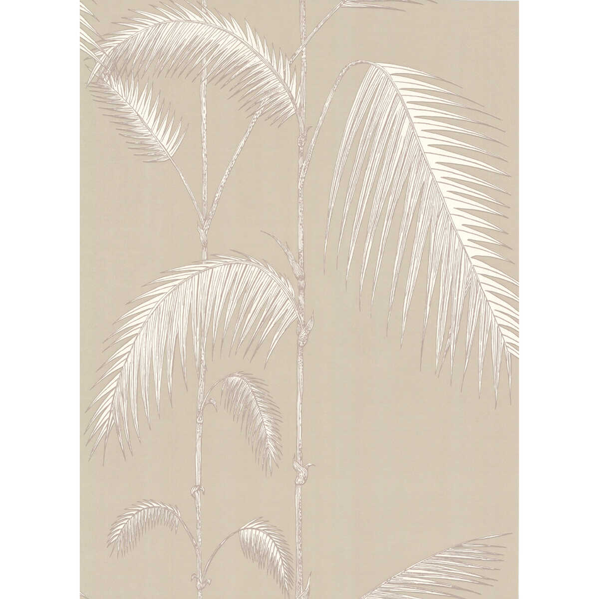 Palm Leaves - Taupe/W - COLE & SON Wallpaper